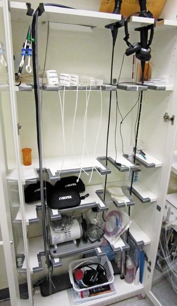 veterinary_idea_hanging_endoscope_450px.jpg