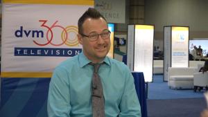 Make sure your veterinary practice website rocks