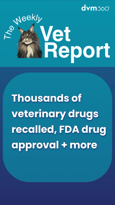 Weekly Vet Report: Thousands of veterinary drugs recalled, FDA drug approval + more
