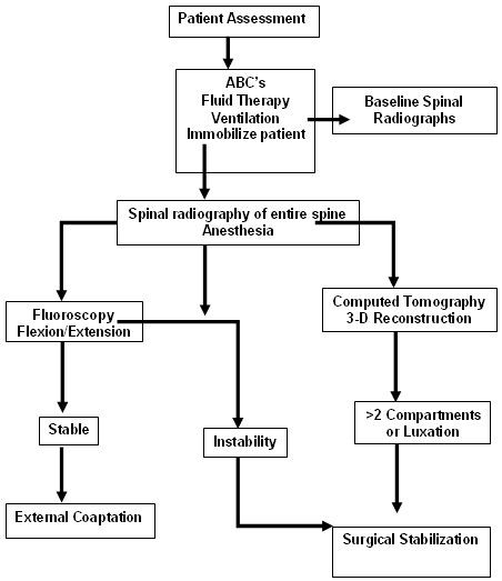 figure1-651349-1384339878004.jpg