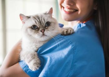 Feline handling