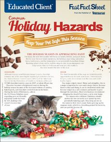 Holiday Hazards