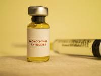 Monoclonal antibodies