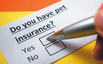 veterinary-do-you-have-pet-insurance-yes-shutterstock-514740673-body-2.jpg