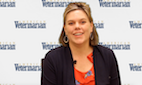 Common Compulsive Disorders In Dogs And Cats Common Compulsive Disorders In Dogs And Cats