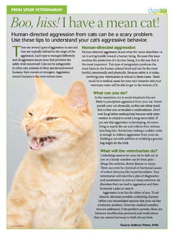 feline_aggression_pdf_image.jpg