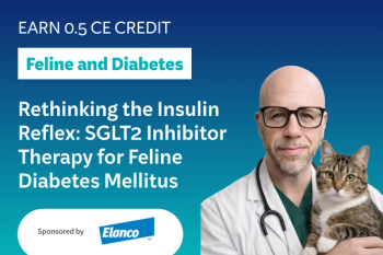 Rethinking the Insulin Reflex: SGLT2 Inhibitor Therapy for Feline Diabetes Mellitus