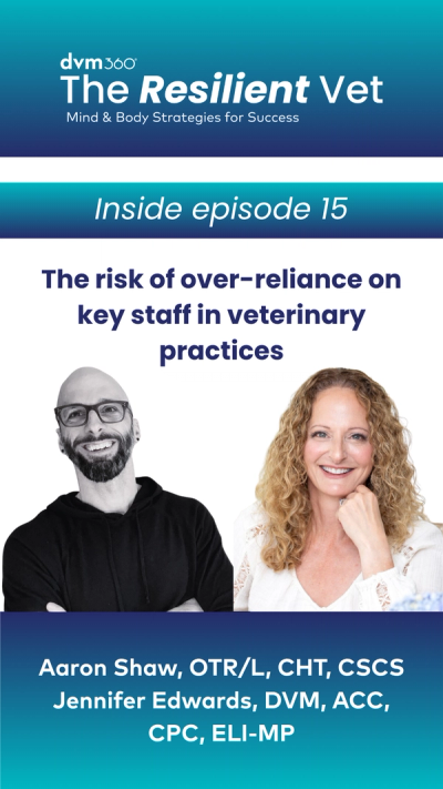 The risk of over-reliance on key staff in veterinary practices