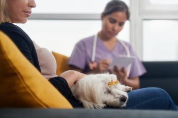 Photo: Diego Cervo/Adobe Stock