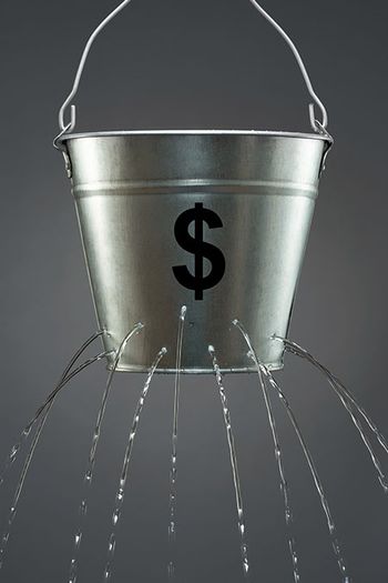 veterinary-dollar-leak-AdobeStock_130027271-450.jpg