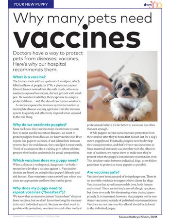 veterinary-handout-fl-pets-need-vaccines-450.jpg