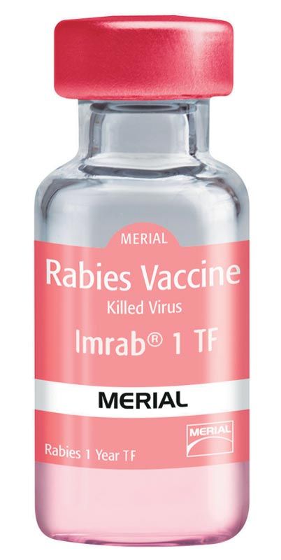 Merial rabies sales vaccine cat