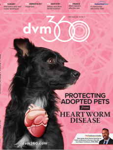 dvm360 July 2022