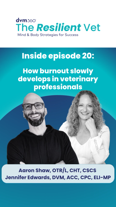 How burnout slowly develops in veterinary professionals