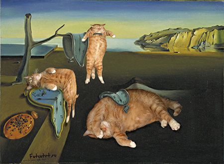 A gallery of meow-sterpieces | dvm360