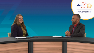 zoetis reference laboratories panel discussion pet connections