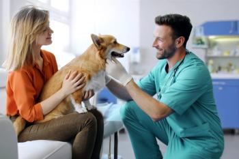 Q&A: Understanding sensitivity and specificity in canine lymphoma liquid biopsy