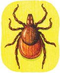 i1-411977-1384754979090.jpg