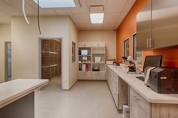 veterinary-CoyneVeterinaryCenterCrownPoint-450px.jpg