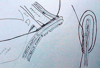 veterinary_crowe_diagram_2-615062-1384500324064.gif