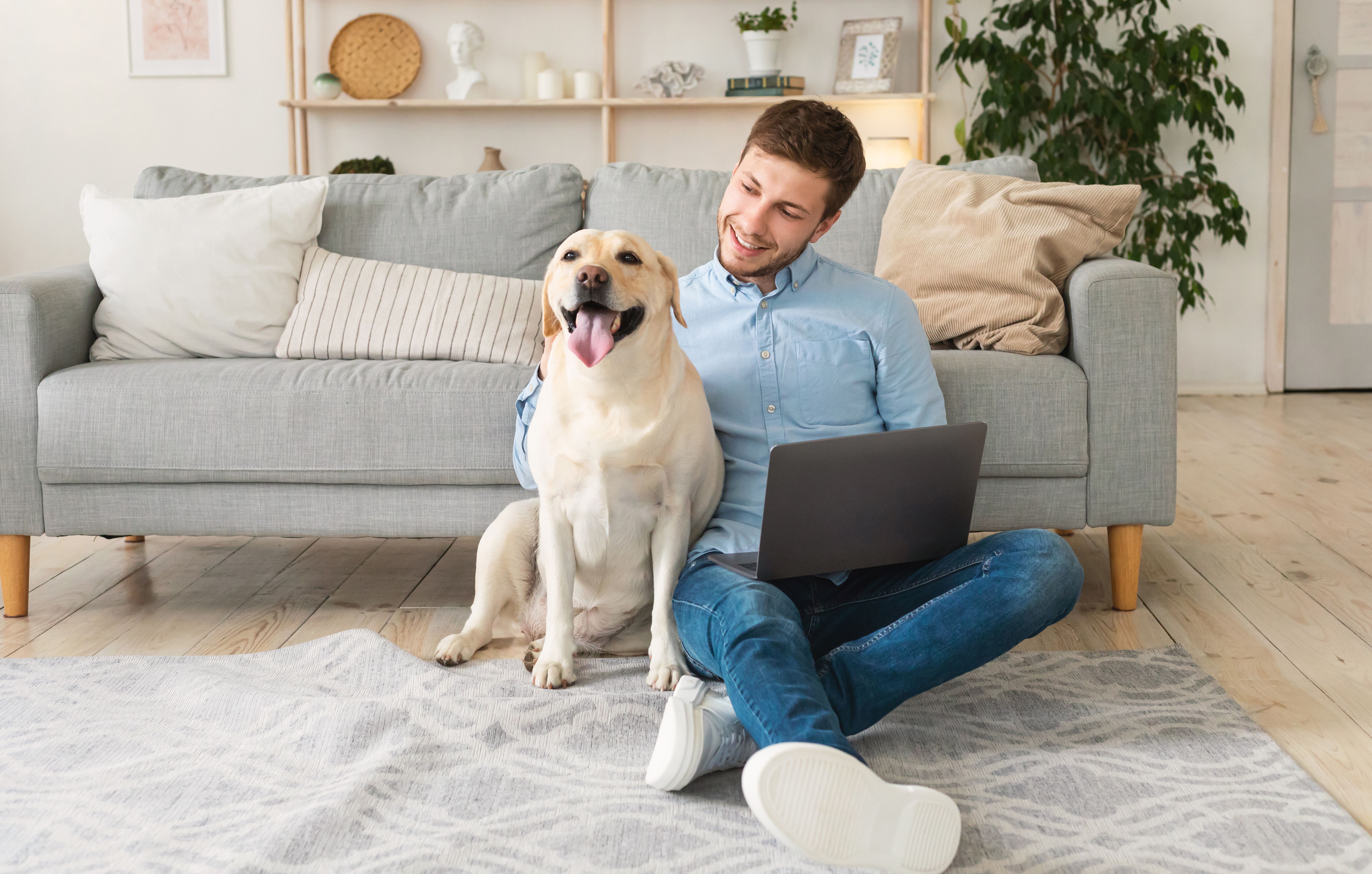 marketing toward millennial pet owners, plus more veterinary news marketing toward millennial pet owners, plus more veterinary news