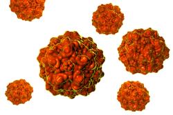 Porcine parvovirus vaccine demonstrates promise in clinical study