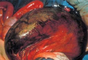 veterinary_vm1012_GDV_Monnet_Figure-3-791143-1404223103985.jpg