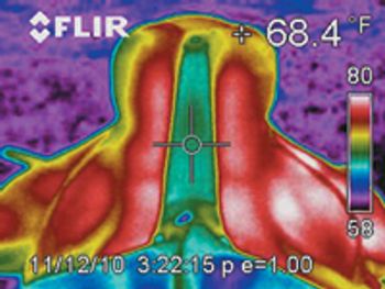 Veterinary_marcella-804217-1384153086813.jpg
