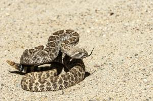 What are you scared of?