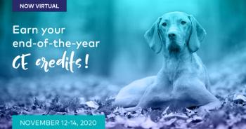 Fetch dvm360 conference