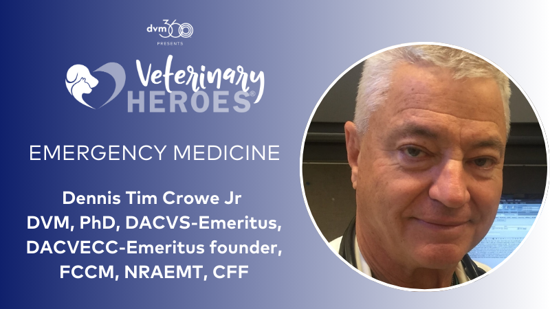 Veterinary Heroes: Dennis Tim Crowe Jr, DVM, PhD, DACVS-Emeritus ...