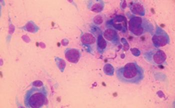 AAHA-oncology-flash.jpg