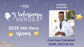 2025 Veterinary Heroes: Courtney Campbell, DVM, DACVS-SA
