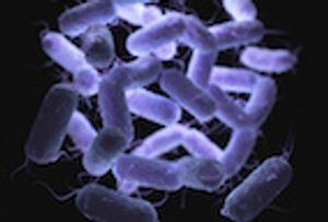 Evaluating Carbapenem Resistance