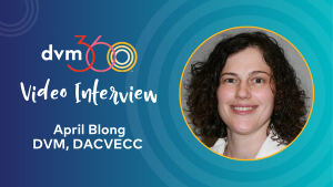 Considerations for an emergency cardiac case