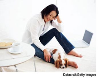 veterinary_caffeine_wd-573015-1384527689362.jpg