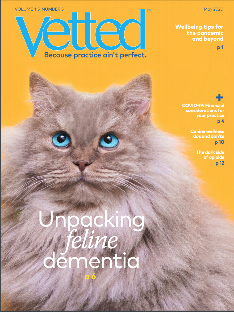 Cat sales dementia medication