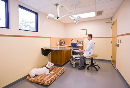 A veterinary hospital designed for-and by- the practice team