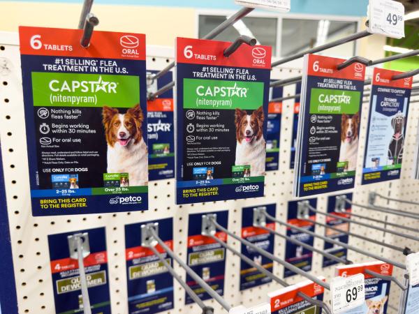 FDA emergency authorizes Capstar, generic nitenpyram to prevent and treat New World screwworm in dogs and cats