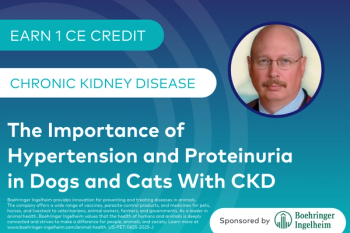  The Importance of Hypertension and Proteinuria in Dogs and Cats with CKD