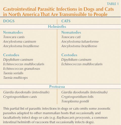 helminth zoonotic diseases