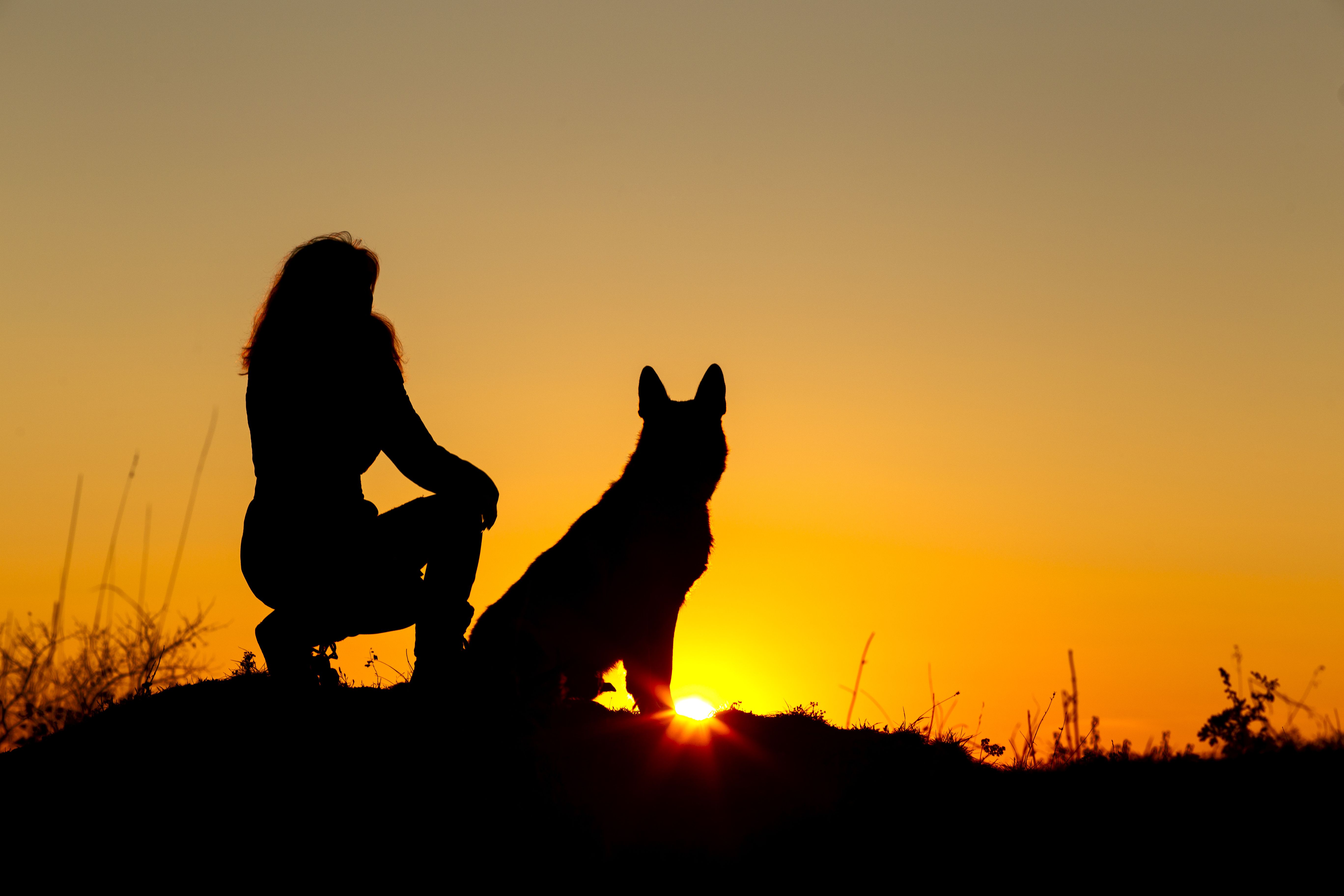 Девушка с собакой на закате