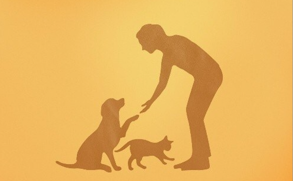 Canine oncology drug featured in Emmy-nominated documentary
