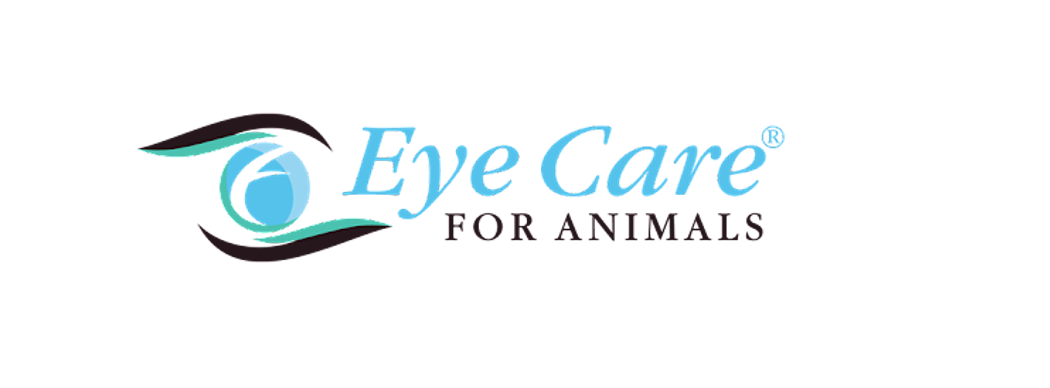 Eye Care for Animals celebrates 40 years of service