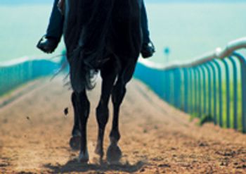 veterinary_racehorse_at_risk__147391358-846161-1404209318632.jpg