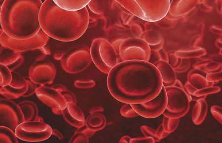 veterinary-red-blood-cells-450-517660123.jpg