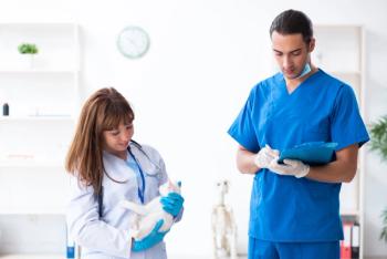 veterinary team