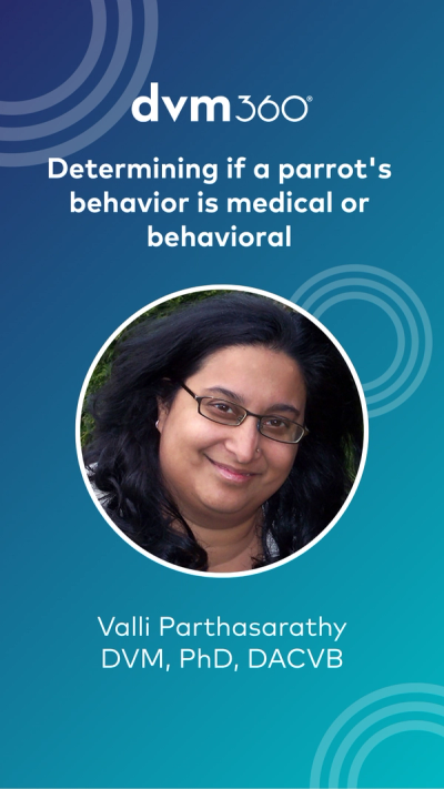 Determining if a parrot's behavior is medical or behavioral