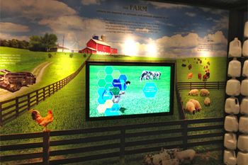 thefarm-818913-1404219556461.jpg