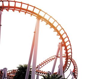 veterinary-roller-coaster-on-white-background-450px-shutterstock-751528774.jpg